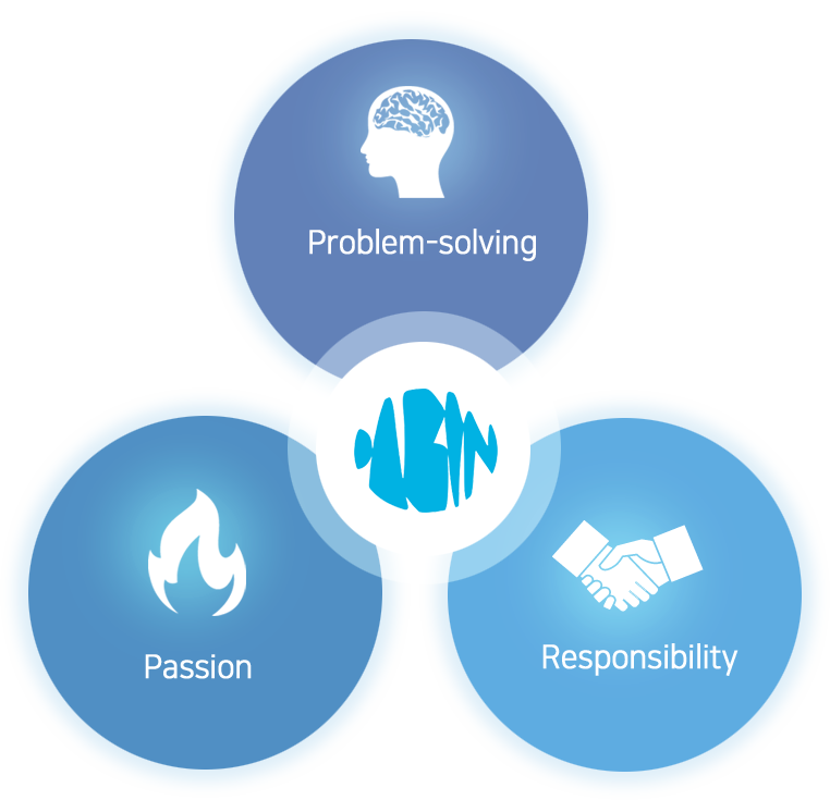 Problem-solving, Passion, Responsibility
